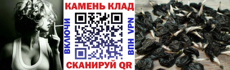 ГАШ Premium Купить закладки Медынь